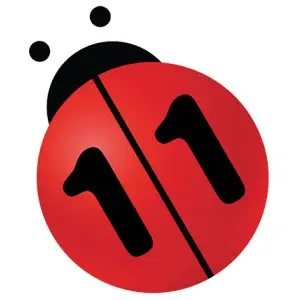 N11